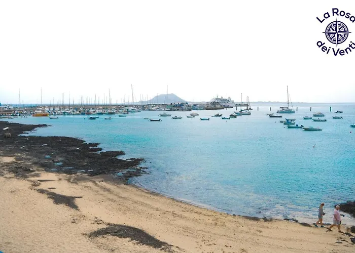 公寓 Rosa Dei Venti Sea View - 4 Persons - Wifi Free 科拉雷侯